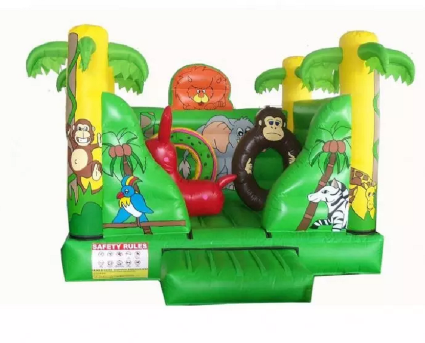 Outdoor Playground - Outdoor Double Inflatable Slide