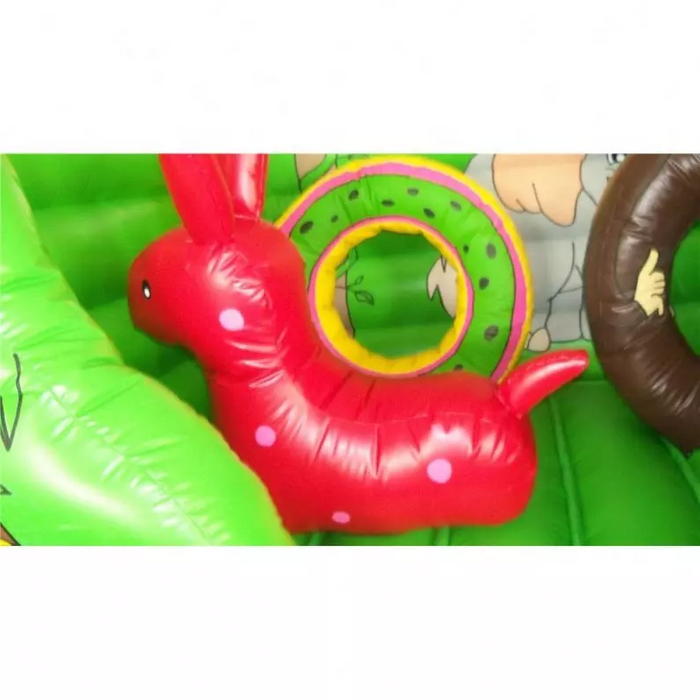 Outdoor Playground - Outdoor Double Inflatable Slide