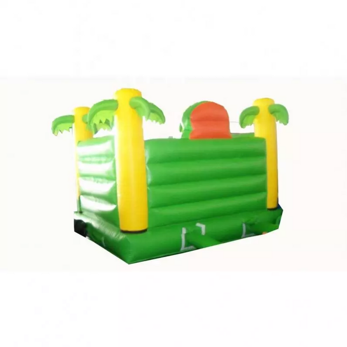 Outdoor Playground - Outdoor Double Inflatable Slide