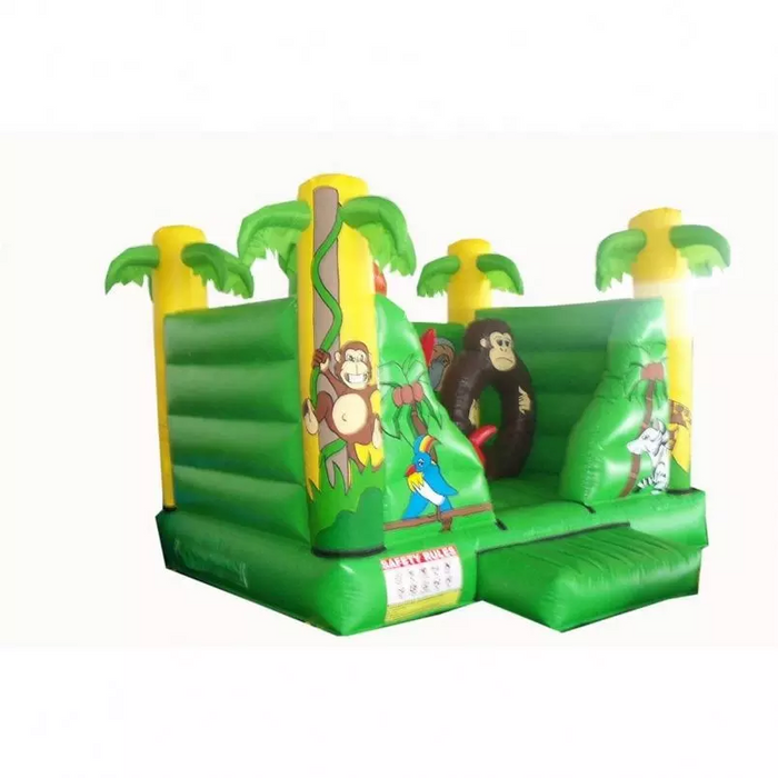 Outdoor Playground - Outdoor Double Inflatable Slide