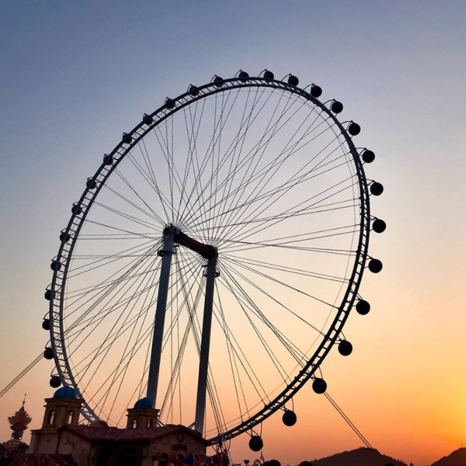 Amusement Park Rides - Factory Directly Wholesale Ferris Wheel