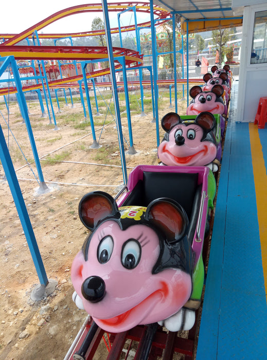 Amusement Park Rides - The Forest Flying Squirrel