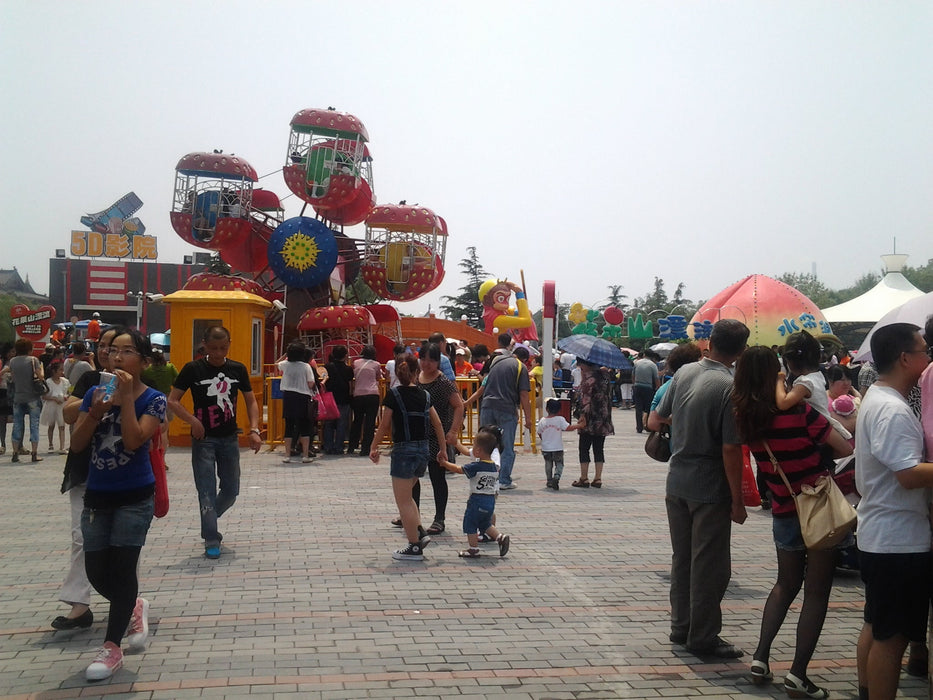 Amusement Park Rides - Double Side Mini  Ferris Wheel