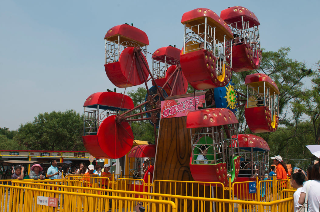 Amusement Park Rides - Double Side Mini  Ferris Wheel