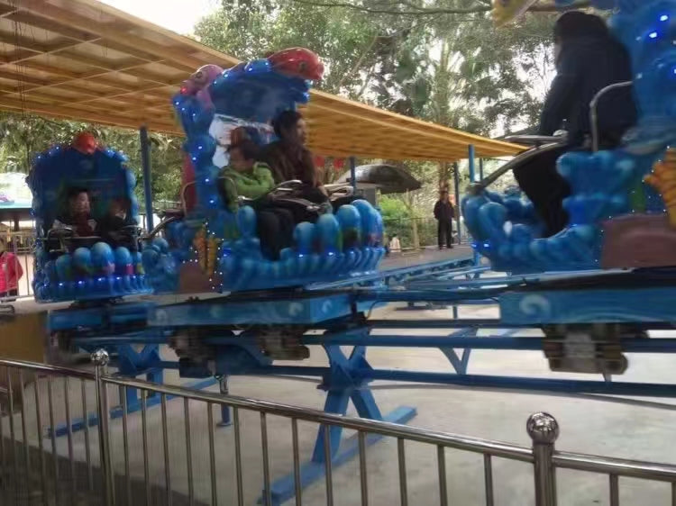 Amusement Park Rides - Ocean Roller Coaster