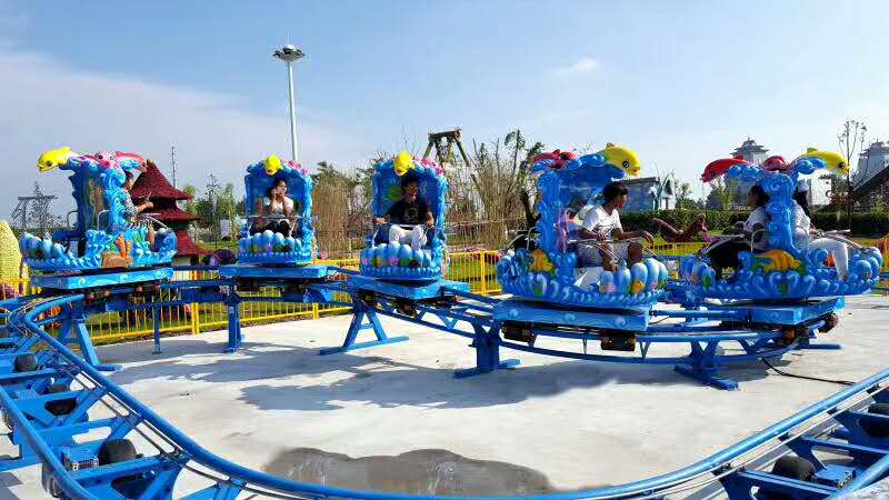 Amusement Park Rides - Ocean Roller Coaster