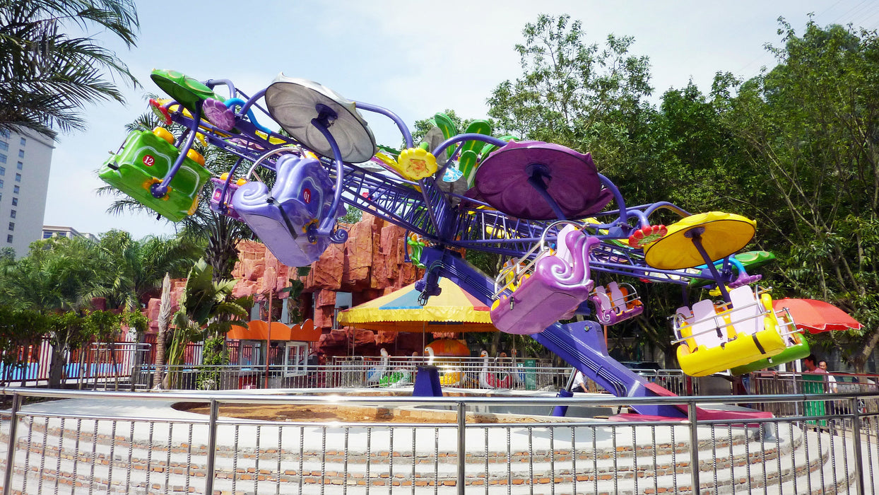 Amusement Park Rides - 24 Seats Double Flying